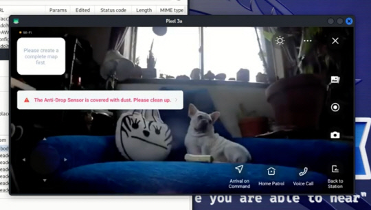 해킹된 에코백스 기기를 통해 본 강아지. 테크크런치 이미지 캡쳐 / 데니스 기즈(Dennis Giese)와 브래일린(Braelynn) 제공